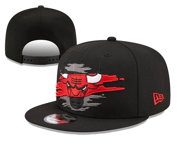 NBA Chicago Bulls Stitched Snapback Hats 031